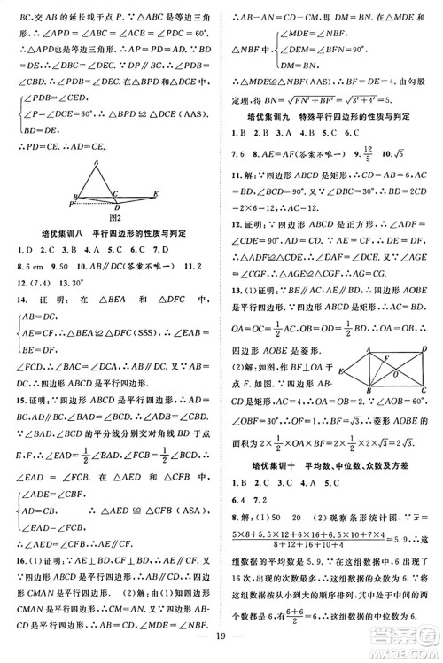 南方出版社2024年春新活力暑假总动员八年级数学全一册人教版答案