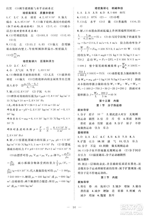 南方出版社2024年春新活力暑假总动员八年级物理全一册人教版答案