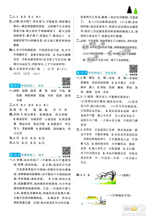 江苏教育出版社2024年春阳光同学暑假衔接4升5年级语文全一册青岛版答案 江苏教育出版社2024年春阳光同学暑假衔接4升5年级语文全一册青岛版答案
