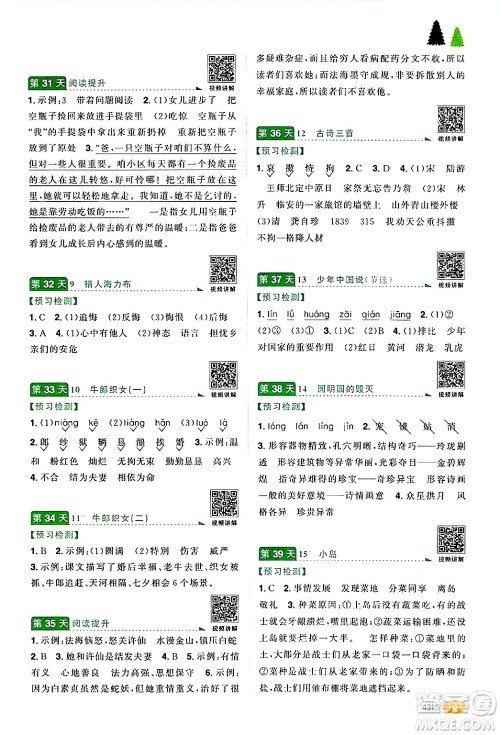 江苏教育出版社2024年春阳光同学暑假衔接4升5年级语文全一册青岛版答案