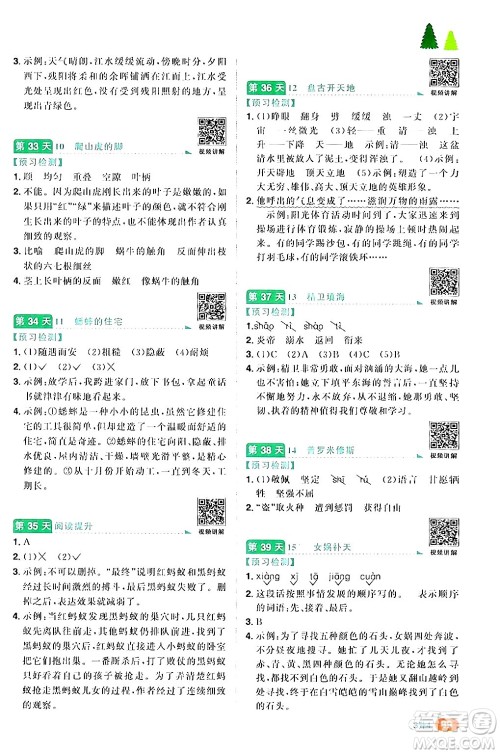 江苏教育出版社2024年春阳光同学暑假衔接3升4年级语文全一册青岛版答案 江苏教育出版社2024年春阳光同学暑假衔接3升4年级语文全一册青岛版答案