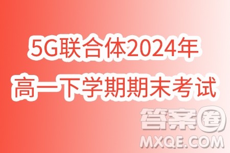 湖北武汉市5G联合体2024年高一下学期期末考试数学试卷答案