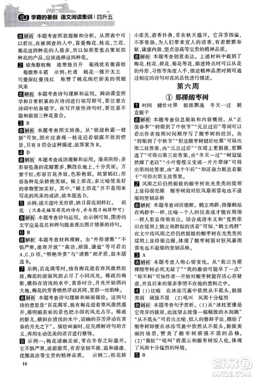 宁夏人民教育出版社2024年春经纶学霸学霸的暑假语文阅读集训四升五年级语文人教版答案