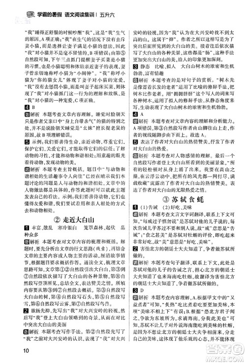 宁夏人民教育出版社2024年春经纶学霸学霸的暑假语文阅读集训五升六年级语文人教版答案