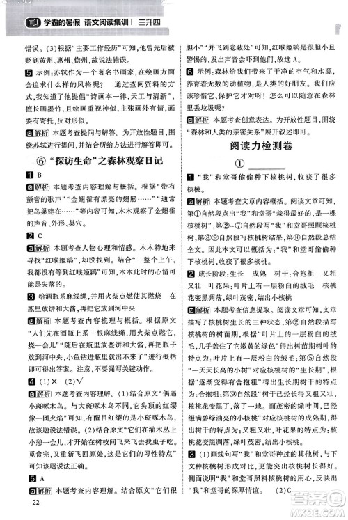 宁夏人民教育出版社2024年春经纶学霸学霸的暑假语文阅读集训三升四年级语文人教版答案 宁夏人民教育出版社2024年春经纶学霸学霸的暑假语文阅读集训三升四年级语文人教版答案