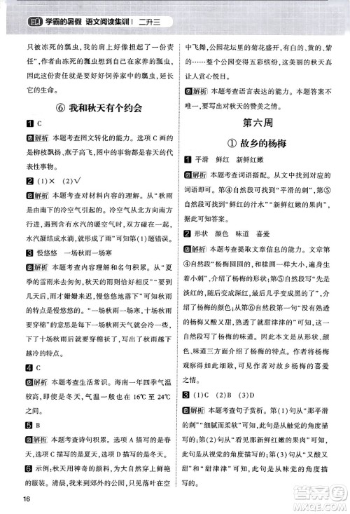 宁夏人民教育出版社2024年春经纶学霸学霸的暑假语文阅读集训二升三年级语文人教版答案
