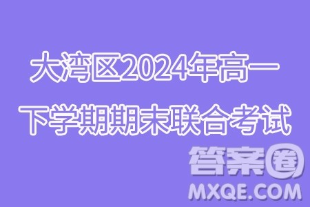广东省大湾区2024年高一下学期期末联合考试数学试题答案 广东省大湾区2024年高一下学期期末联合考试数学试题答案