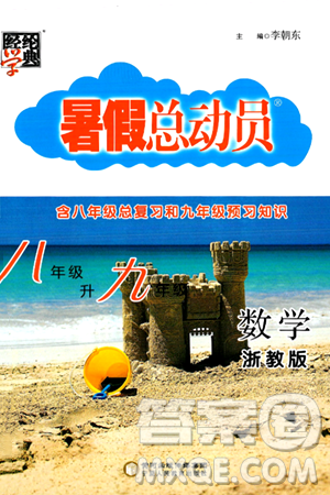 宁夏人民教育出版社2024年经纶学典暑假总动员八年级数学浙教版答案