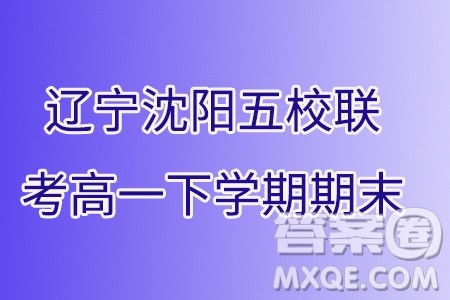 2024年辽宁沈阳五校联考高一下学期期末数学试题答案 2024年辽宁沈阳五校联考高一下学期期末数学试题答案