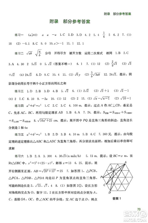 广西教育出版社2024年新课程暑假作业八年级数学通用版答案
