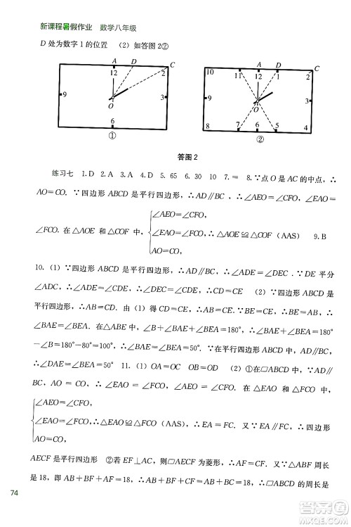 广西教育出版社2024年新课程暑假作业八年级数学通用版答案