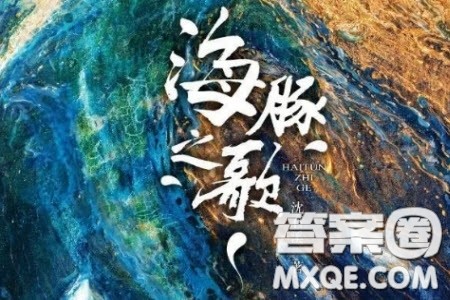 海豚之歌读后感400字 关于海豚之歌的读后感400字