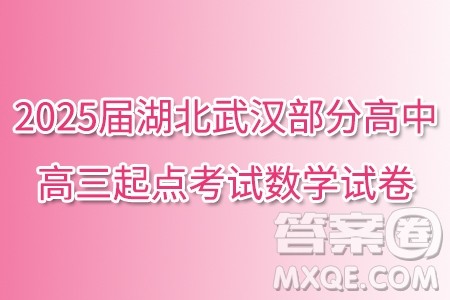 2025届湖北武汉部分高中高三起点考试数学试卷答案 2025届湖北武汉部分高中高三起点考试数学试卷答案