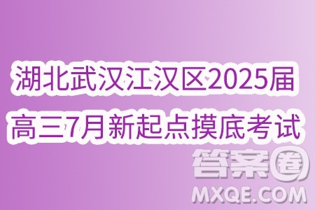 湖北武汉江汉区2025届高三7月新起点摸底考试数学试卷答案 湖北武汉江汉区2025届高三7月新起点摸底考试数学试卷答案