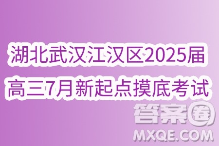 湖北武汉江汉区2025届高三7月新起点摸底考试数学试卷答案