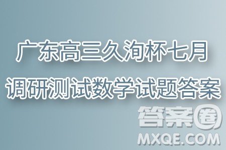 2025届广东高三久洵杯七月调研测试数学试题答案