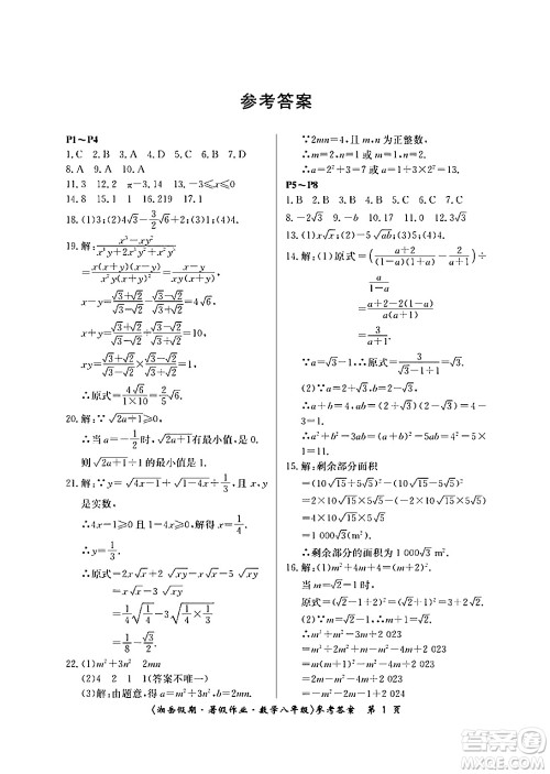 湖南大学出版社2024年湘岳假期暑假作业八年级数学人教版答案