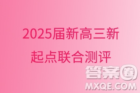 广东省部分高中2025届新高三新起点联合测评数学试卷答案