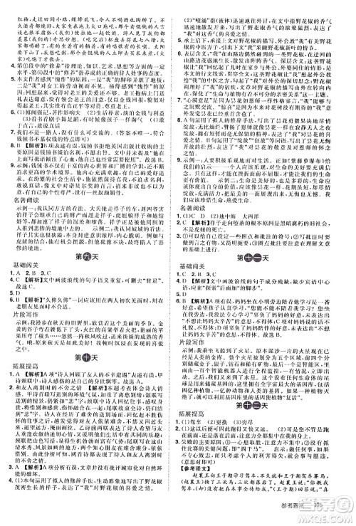 江西美术出版社2024年学海风暴丛书魔力暑假A计划七年级语文人教版答案