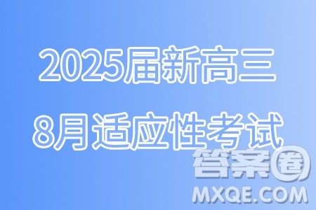 湖北武汉东西湖区2025届新高三8月适应性考试数学试卷答案