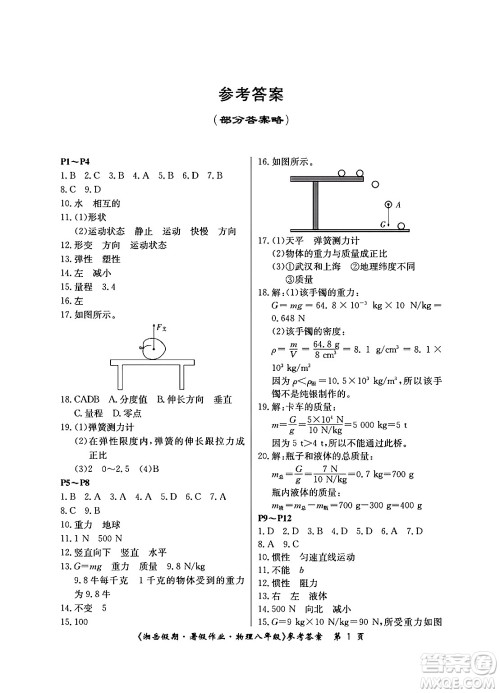 湖南大学出版社2024年湘岳假期暑假作业八年级物理人教版答案