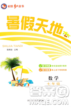 河北少年儿童出版社2024年桂壮红皮书暑假天地七年级数学通用版答案