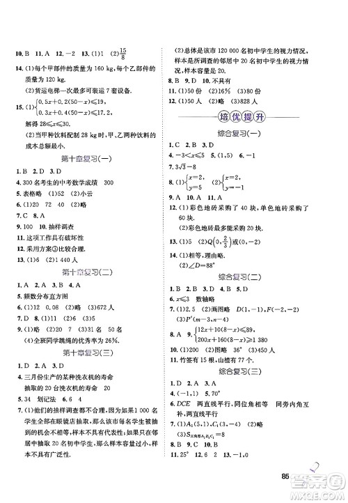 河北少年儿童出版社2024年桂壮红皮书暑假天地七年级数学通用版答案