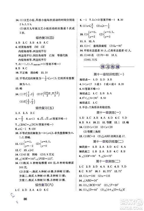 河北少年儿童出版社2024年桂壮红皮书暑假天地七年级数学通用版答案