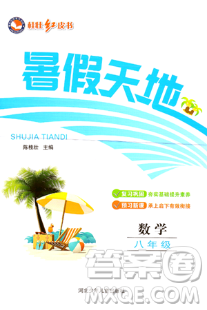河北少年儿童出版社2024年桂壮红皮书暑假天地八年级数学通用版答案