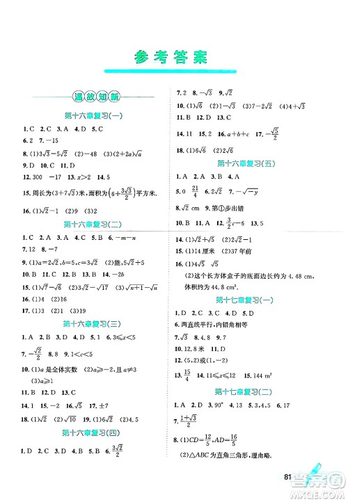 河北少年儿童出版社2024年桂壮红皮书暑假天地八年级数学通用版答案