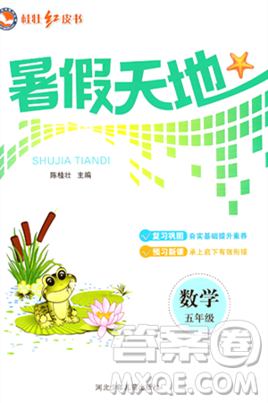 河北少年儿童出版社2024年桂壮红皮书暑假天地五年级数学通用版答案 河北少年儿童出版社2024年桂壮红皮书暑假天地五年级数学通用版答案