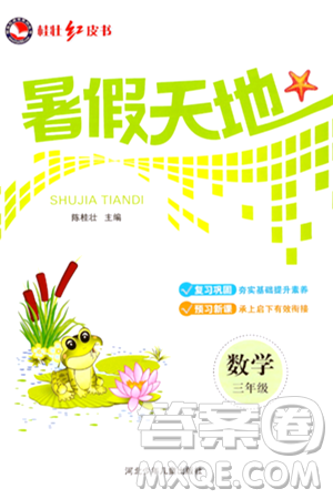 河北少年儿童出版社2024年桂壮红皮书暑假天地三年级数学通用版答案