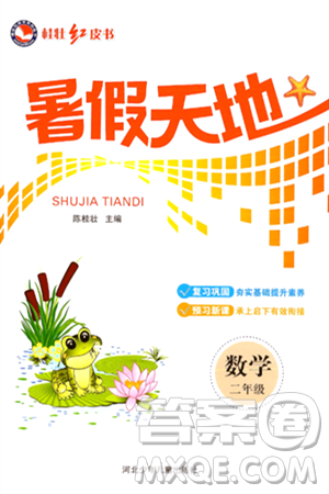 河北少年儿童出版社2024年桂壮红皮书暑假天地二年级数学通用版答案