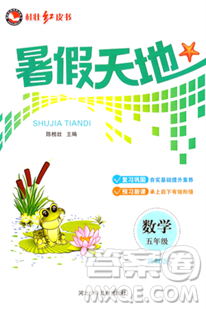 河北少年儿童出版社2024年桂壮红皮书暑假天地五年级数学冀教版答案