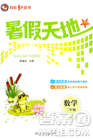 河北少年儿童出版社2024年桂壮红皮书暑假天地三年级数学冀教版答案