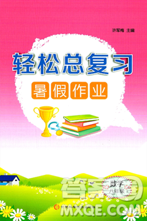 河北科学技术出版社2024年轻松总复习暑假作业八年级数学通用版答案