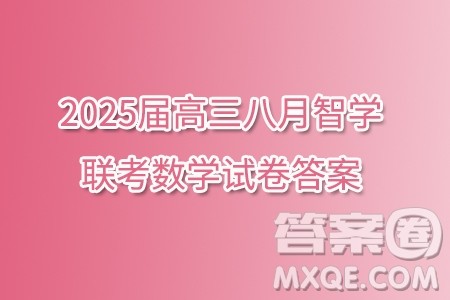 2025届高三八月智学联考数学试卷答案