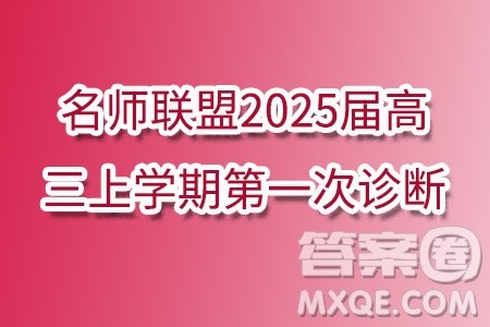 山东齐鲁名师联盟2025届高三上学期第一次诊断数学试题答案