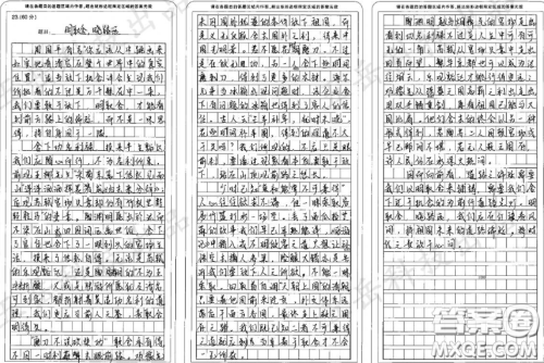 一样东西如果太想要材料作文800字 关于一样东西如果太想要的材料作文800字