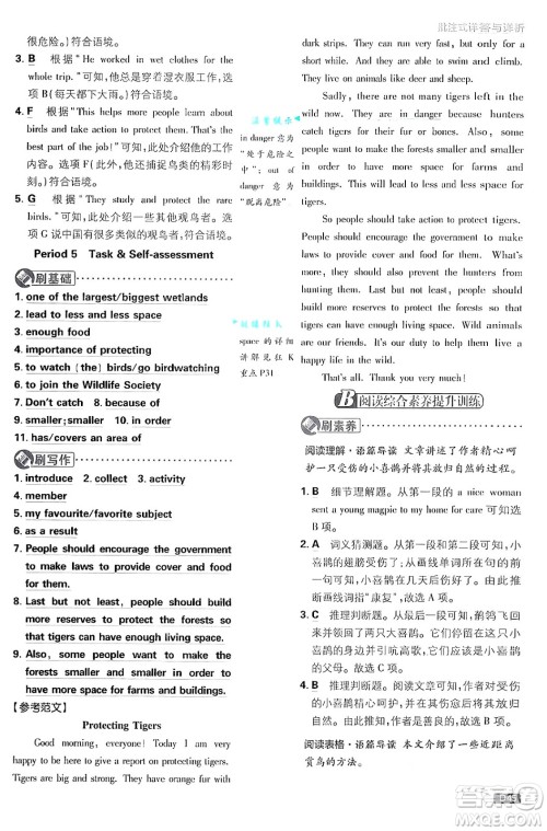 开明出版社2025届初中必刷题拔尖提优训练八年级英语上册译林牛津版答案