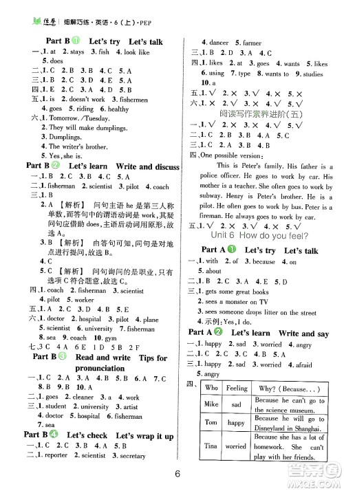 延边大学出版社2024年秋细解巧练六年级英语上册人教PEP版答案