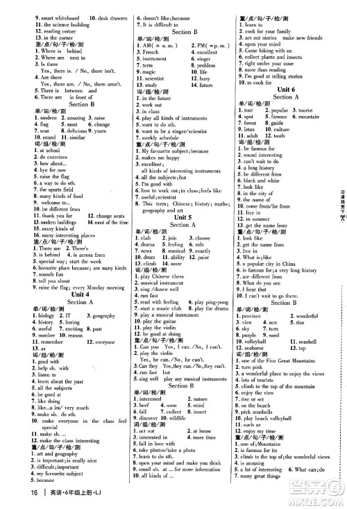 延边大学出版社2024年秋细解巧练六年级英语上册鲁科版答案