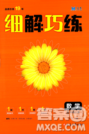 延边大学出版社2024年秋细解巧练六年级数学上册鲁教版答案 延边大学出版社2024年秋细解巧练六年级数学上册鲁教版答案