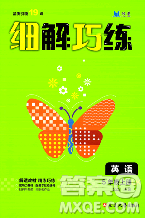 延边大学出版社2024年秋细解巧练五年级英语上册鲁科版答案 延边大学出版社2024年秋细解巧练五年级英语上册鲁科版答案