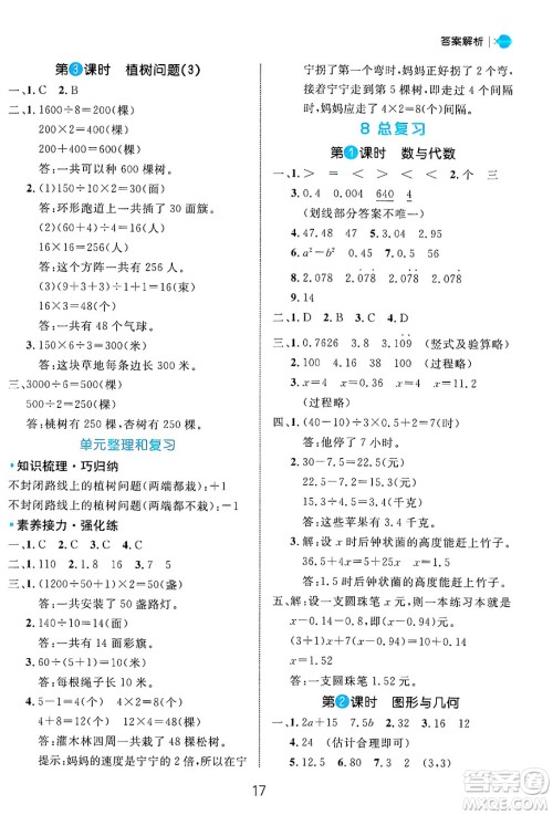 延边大学出版社2024年秋细解巧练五年级数学上册人教版答案