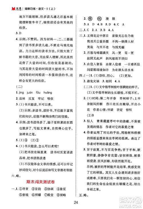 延边大学出版社2024年秋细解巧练五年级语文上册部编版答案 延边大学出版社2024年秋细解巧练五年级语文上册部编版答案