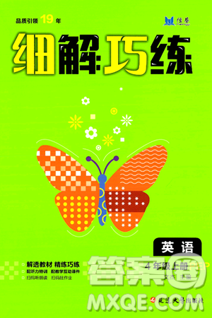 延边大学出版社2024年秋细解巧练四年级英语上册人教PEP版答案 延边大学出版社2024年秋细解巧练四年级英语上册人教PEP版答案