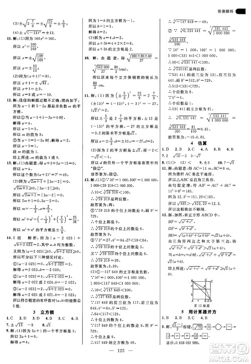 延边大学出版社2024年秋细解巧练八年级数学上册北师大版答案