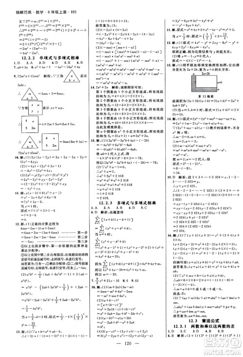 延边大学出版社2024年秋细解巧练八年级数学上册华师版答案