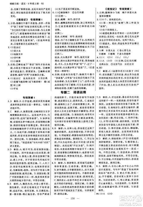 延边大学出版社2024年秋细解巧练八年级语文上册人教版答案